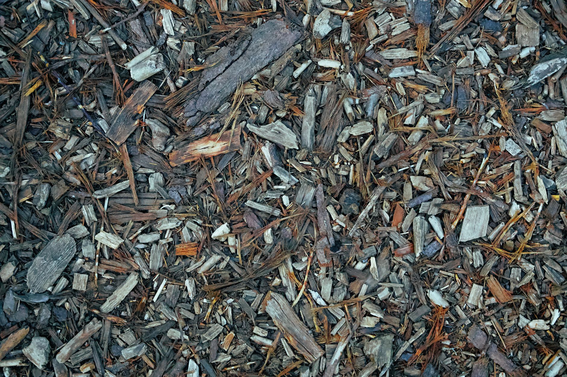 Stump Grinding